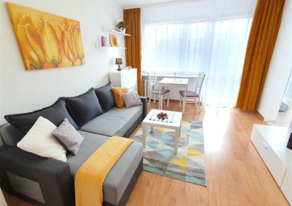 apartment for rent - Katowice, Koszutka, Ściegiennego